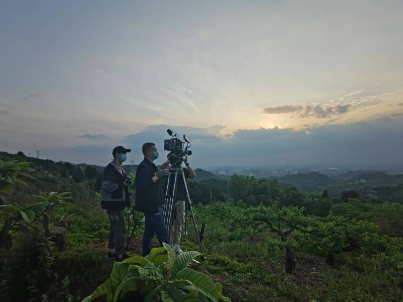 创意破圈！海州区电商产品宣传视频用故事化叙事引爆流量