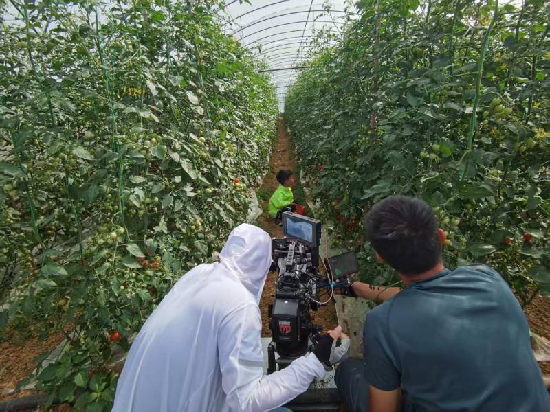 海州区产品宣传视频拍摄公司进阶指南，助力品牌抢占传播高地